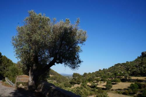 Agroturismo Finca Can Sec