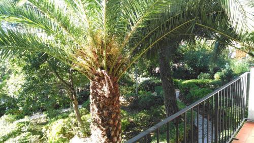 Apartamento Cliper B-2