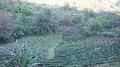 Hostal Baan Ruam Cha