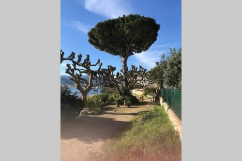 Luxury 4 Bed Apartment On Coastal Footpath At Cap Ras