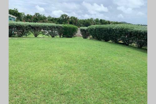 Neem View Apartment#9