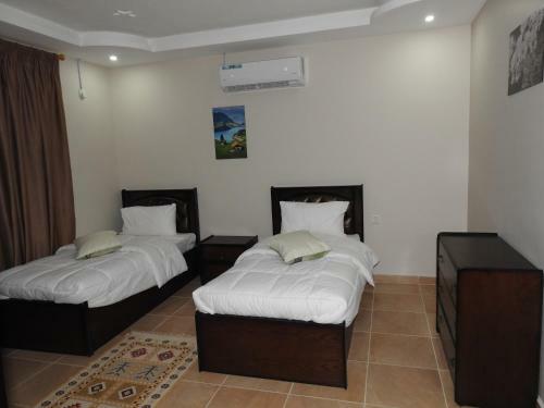 Amro Petra Apartment