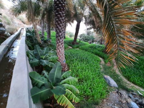 Hostal Misfah View