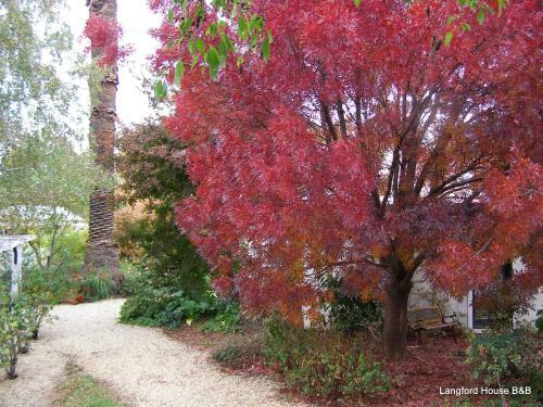 Langford House B&B