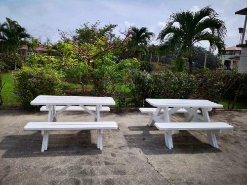 Ventnor House Apartments