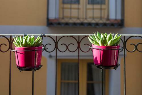 Casa Malvas�a