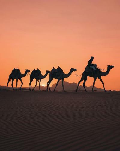 Wadi Rum Sky Tours & Camp