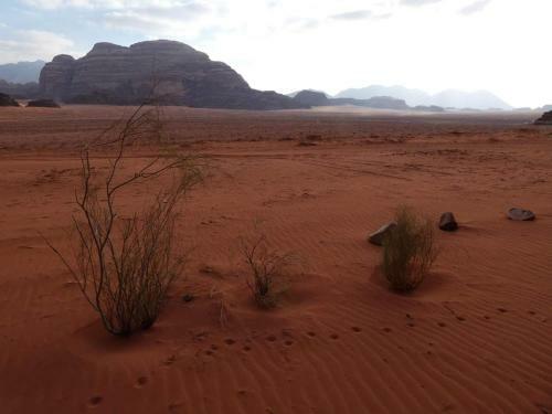 Omar Ghazi Camp