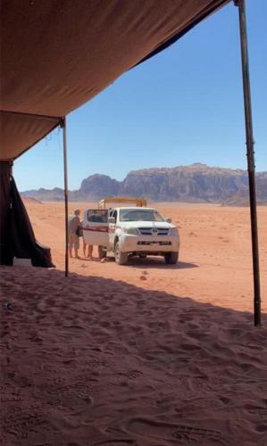 Bedouin Host Camp& With Tour