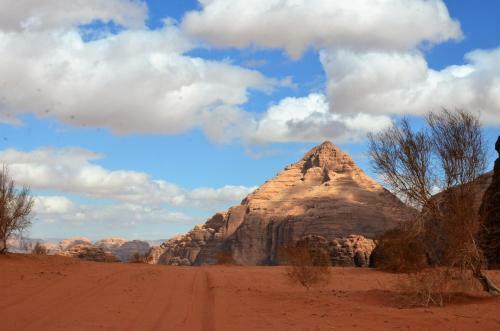 Wadi Rum Camp& Jeep Tour