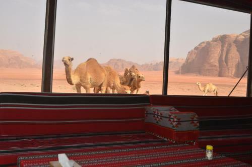 Wadi Rum Camp& Jeep Tour