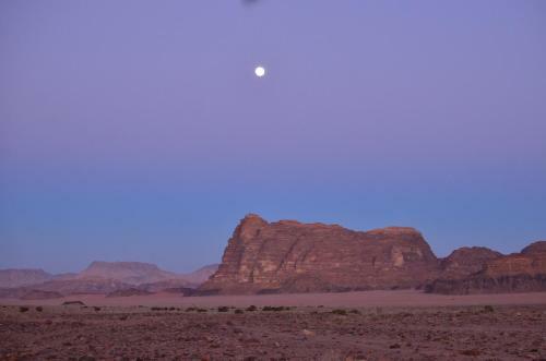 Wadi Rum Camp& Jeep Tour