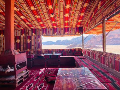 Bedouin Host Stars