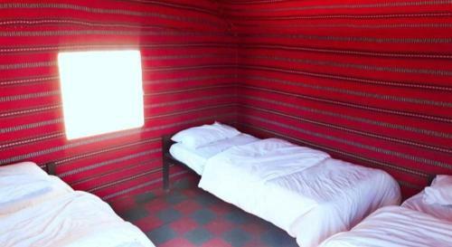 Bed & Breakfast Moon City Camp