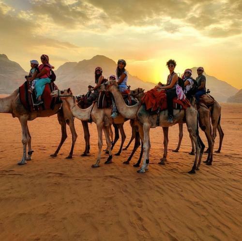 Discover The Life Of Wadi Rum