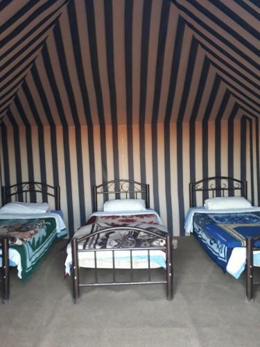 Moon Way Camp