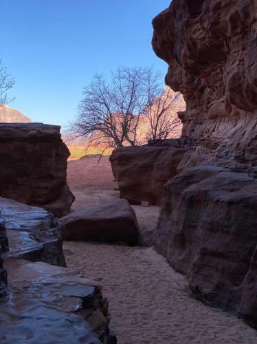 Wadi Rum Dune Rocks Camp