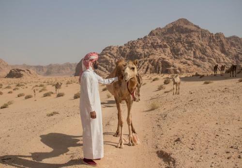 Wadi Rum Desert Home