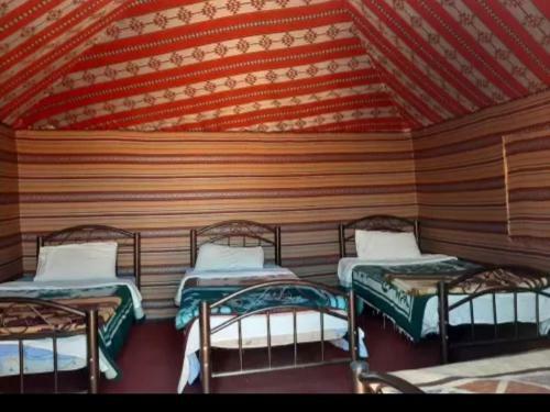 Rum Camp And Tours