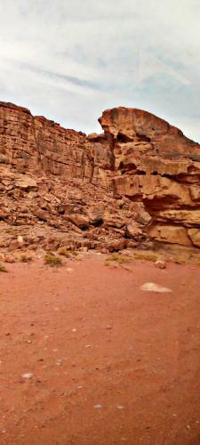 Rum Camp And Tours