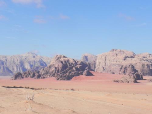 Wadi Rum Dew