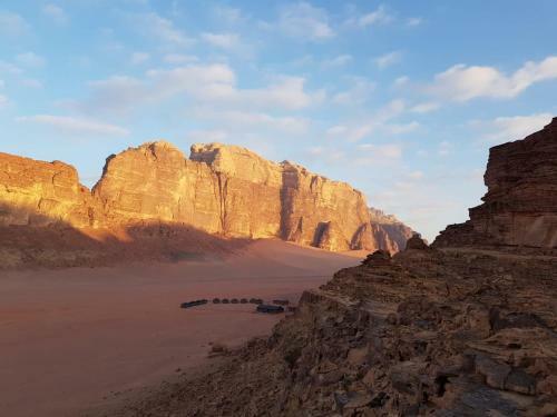Wadi Rum Dew