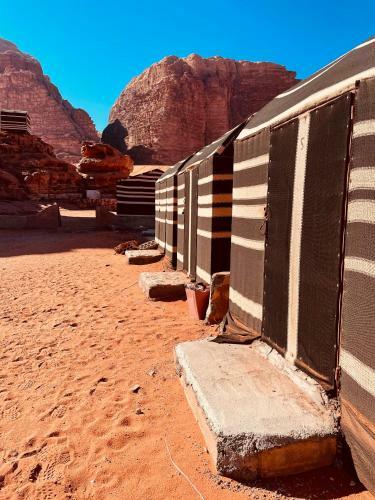 Walid Bedouin Camp