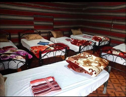 Desert Bedouin Camp