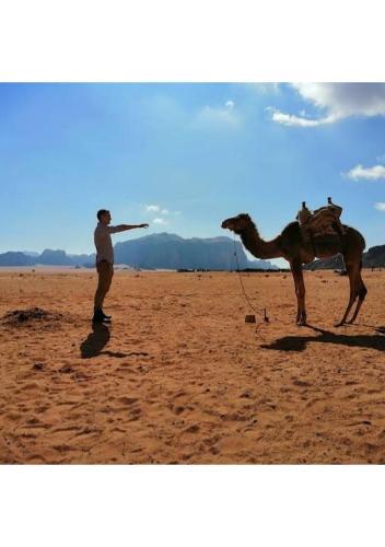 Desert Stars Camp Wadi Rum