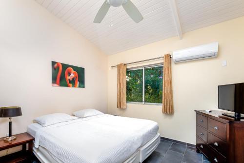 Hotel Bonaire Luxury Suites By Vrhost