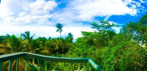 Hotel Homestay Cantho River