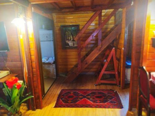 Apartamento Family Cabin
