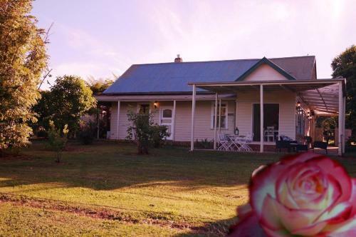 Eagle's View Bed & Breakfast