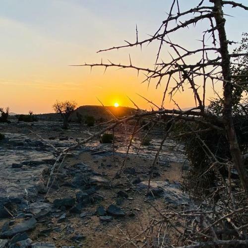Hostal Jabal Shams Summit Guesthouse