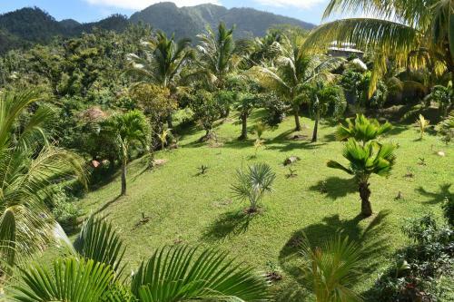 Lodge Savanne Paille Holiday Homes