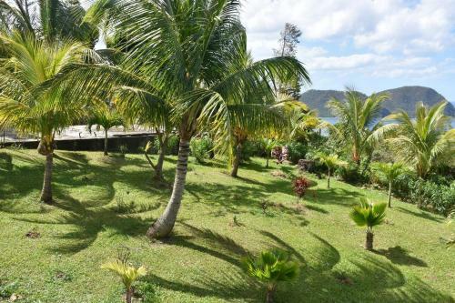 Lodge Savanne Paille Holiday Homes