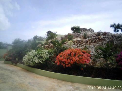 Hostal Eve's Rockaway Villa