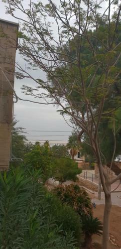 Hostal Naama Rooms For Rent