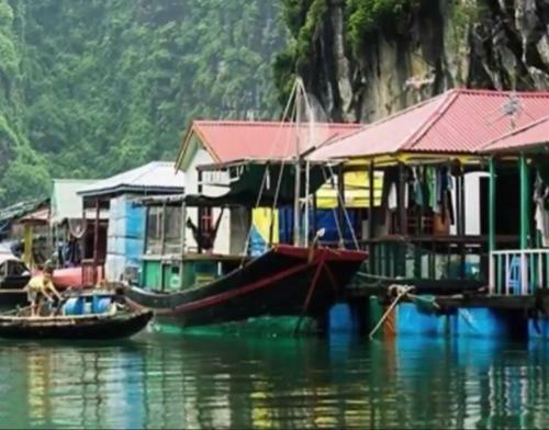 Cat Ba Thailand Hotel