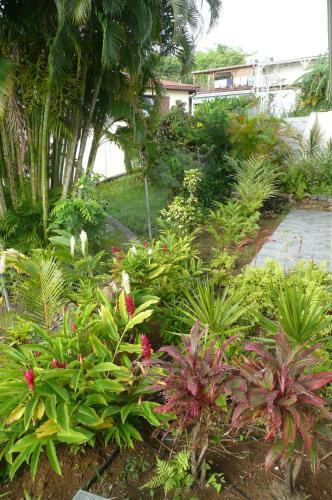 Douceurs Cara�bes, G�te Balisier.