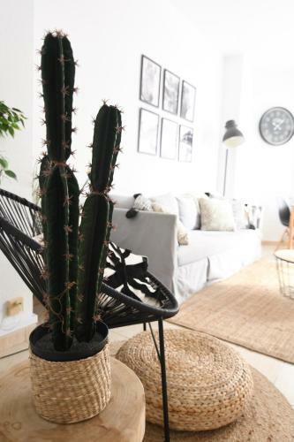 Apartment Near The Beach -3bed -2bath -wifi