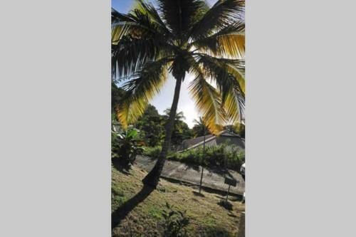 Bungalow - Type F3 - Plage de Petite Anse