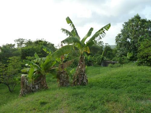 Apartamento Malendure Bay