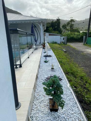 Les Tr�sors De Laur�lia