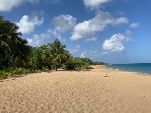 Apartamento Coco-mango Apt B