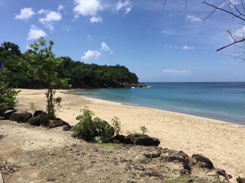 Apartamento Les Lianes de Corail