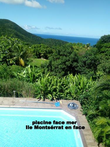 Au Vieux Manguier