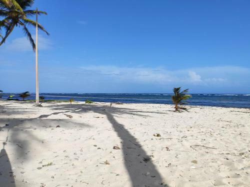 Apartamento G�tes Les Anacardiers Iguane