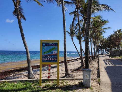 Apartamento G�tes Les Anacardiers Iguane