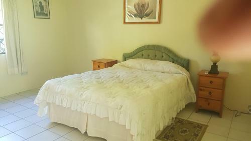 Belle Kaye Cap Gate Villa